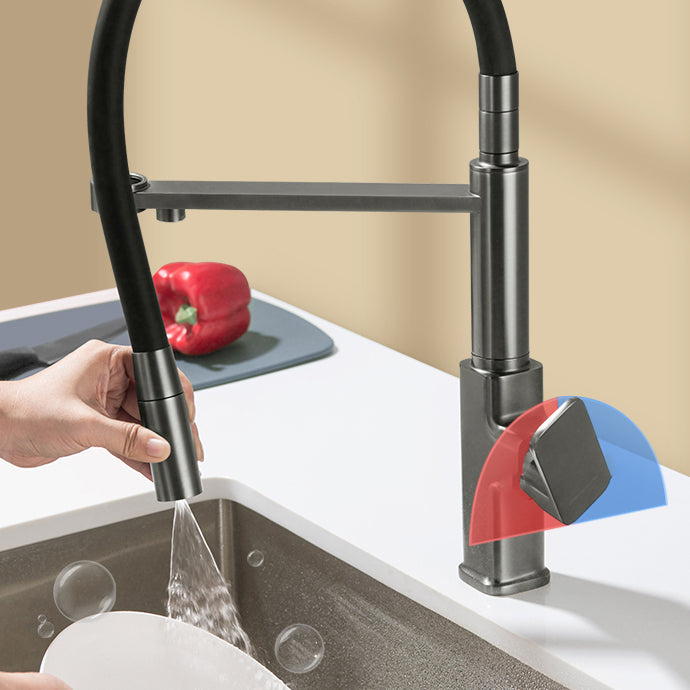 Swivel Spout Kitchen Sink Faucet High Arc with Pull Down Sprayer