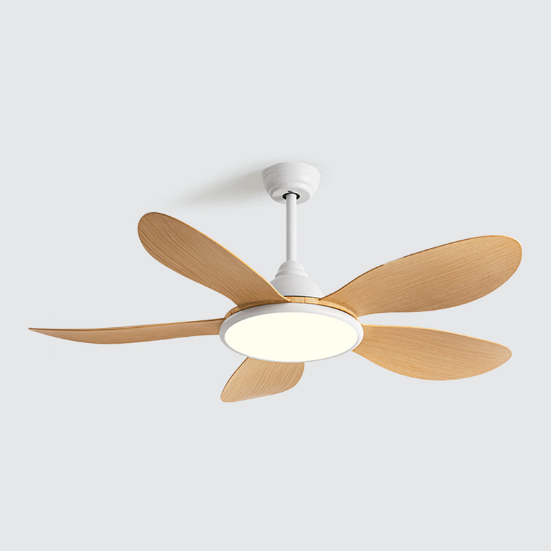 Simple LED Ceiling Fan Lamp Metal Fan Lighting for Living Room