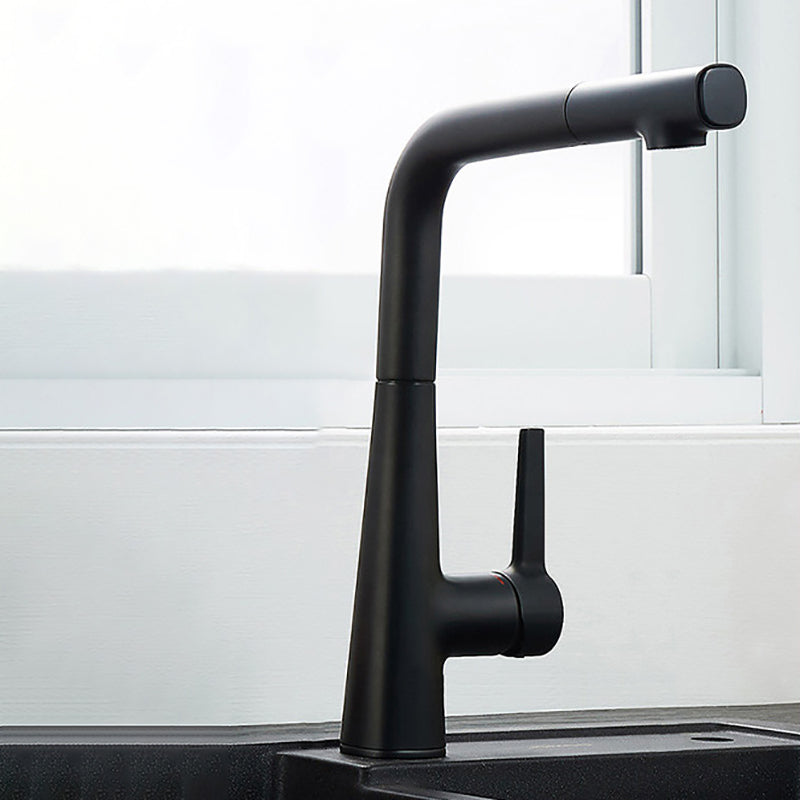 Modern Style Bar Faucet Copper Lever Handle Gooseneck Bar Faucet in Black