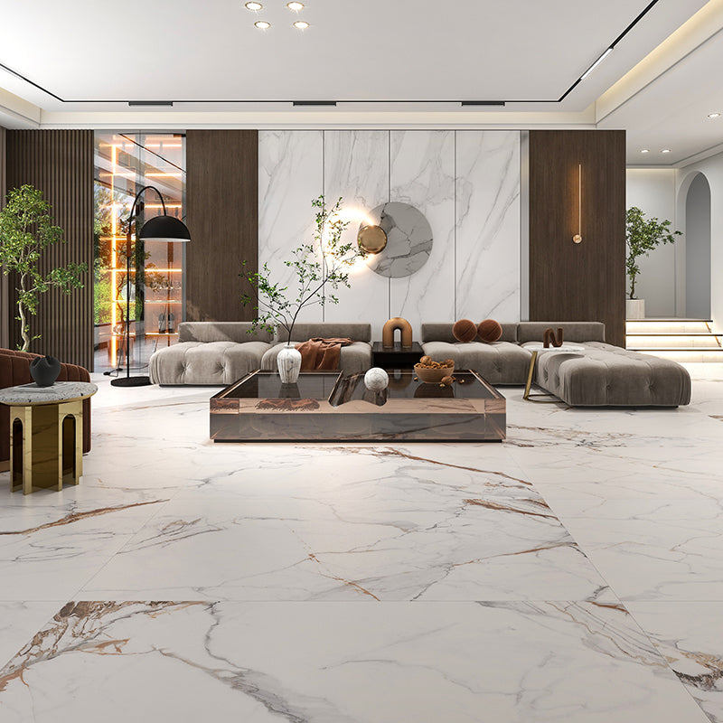 Indoor Wall & Floor Tile Porcelain Floor and Wall Tile with Rectangular Shape