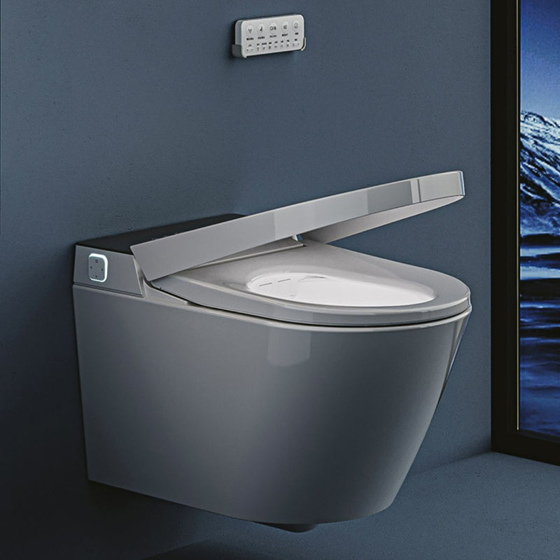 Vitreous China Bidets Bidets Toilet Temperature Control Elongated Seat Bidet in White