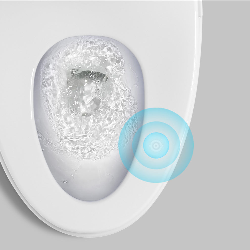 Elongated All-in-One Bidet White One-Piece Smart Toilet Bidet with Heated Seat