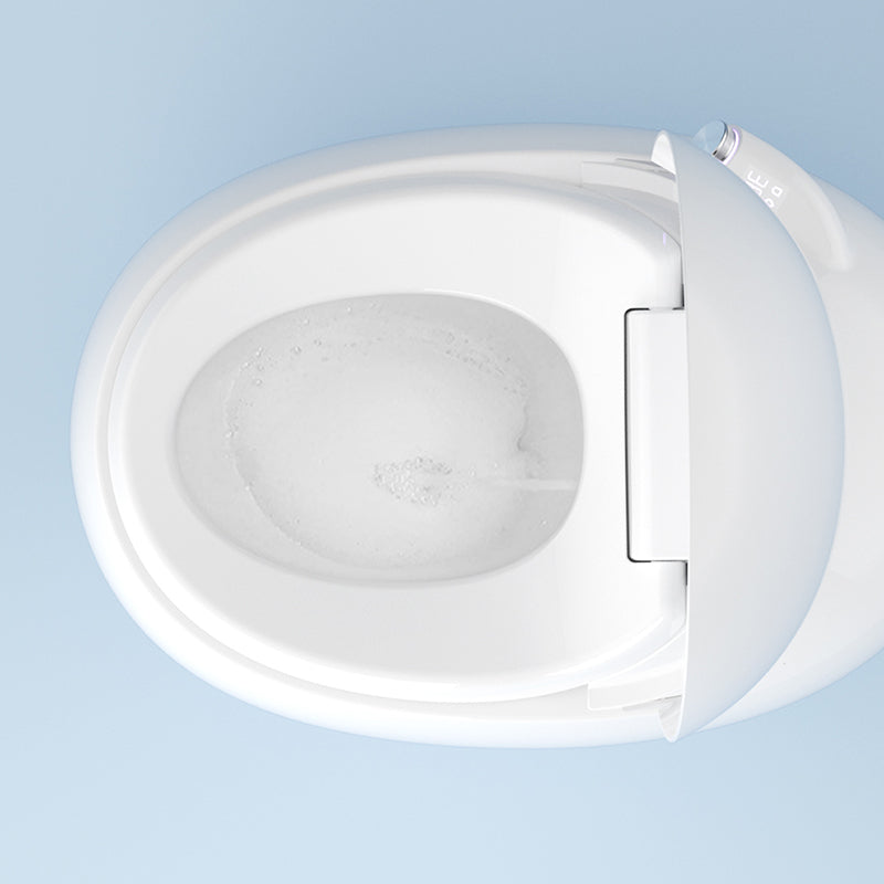 White Round Smart Toilet Stain Resistant Deodorizing Floor Mount Bidet