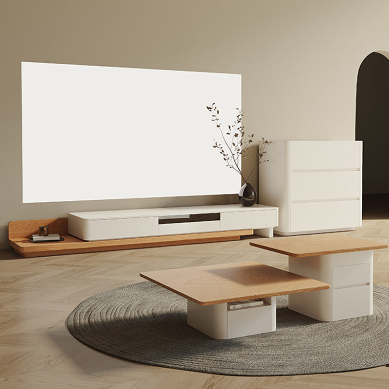 Contemporary Media Console Wooden TV Media Console with 2 Drawers