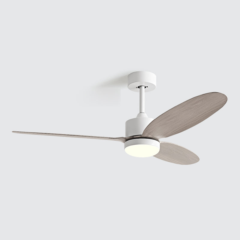 Modernist LED Ceiling Fan 3-Blade Fan Lighting for Living Room