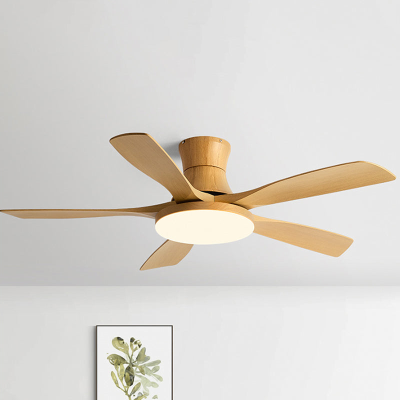 Fan Shape Metal Ceiling Fan Modern Style 1-Light Ceiling Mount Fans Fixture