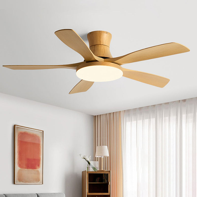 Fan Shape Metal Ceiling Fan Modern Style 1-Light Ceiling Mount Fans Fixture