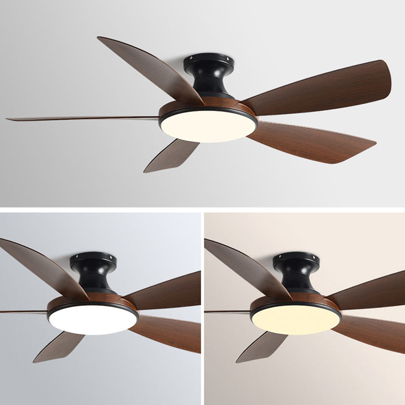 Modern LED Ceiling Fan 5 - Blades Metal and Acrylic Fan Lighting Fixture