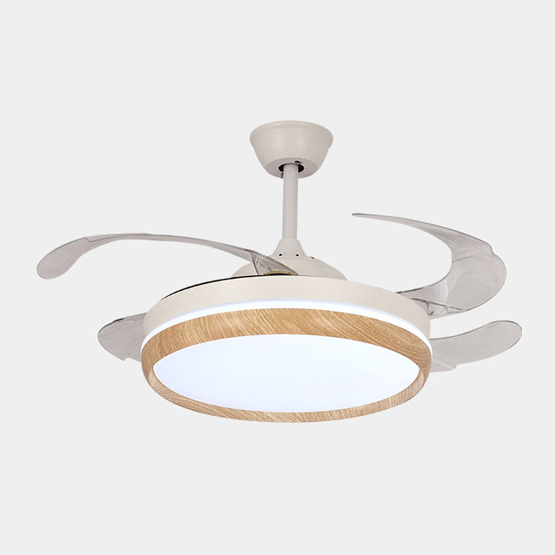 Iron and Acrylic LED Ceiling Fan Fixture Contemporary Drum Fan Lighting in White