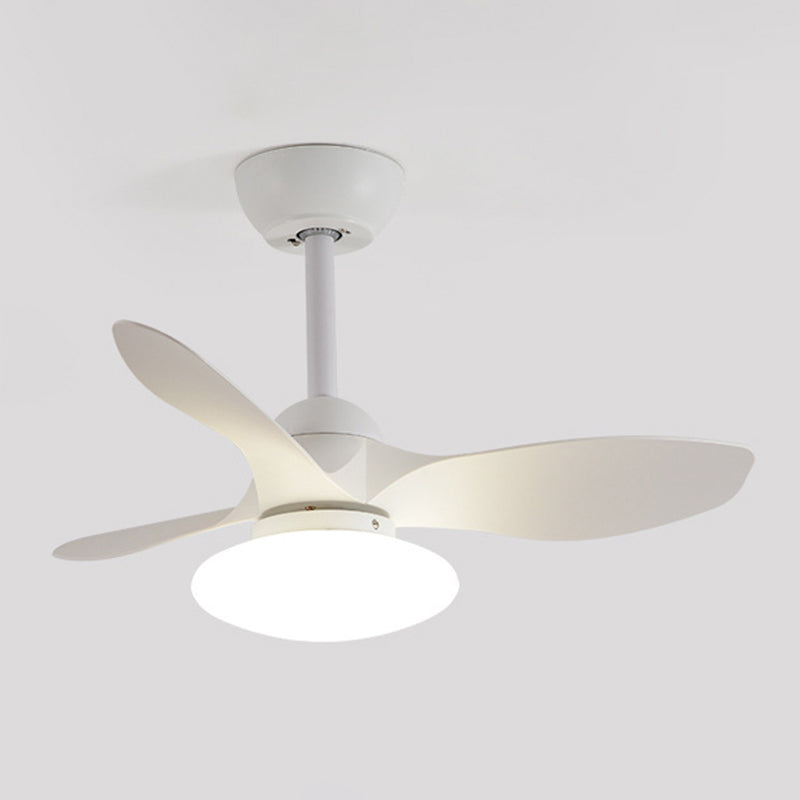 Metal Fan Shape Ceiling Fan Modern Style 1 Light Ceiling Fans Fixtures