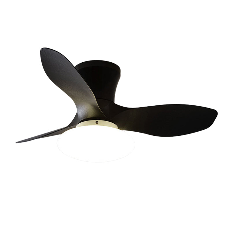 Metal Fan Shape Ceiling Fan Modern Style 1 Light Ceiling Fans Fixtures