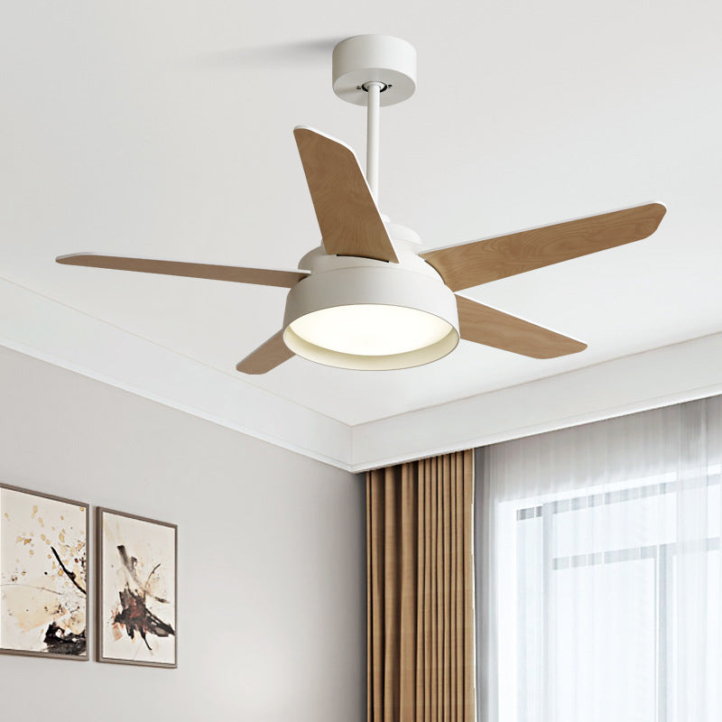 Modern Single Polished Ceiling Fan Lamp LED Shaded Ceiling Fan Light for Dining Room