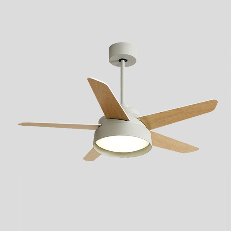 Modern Single Polished Ceiling Fan Lamp LED Shaded Ceiling Fan Light for Dining Room