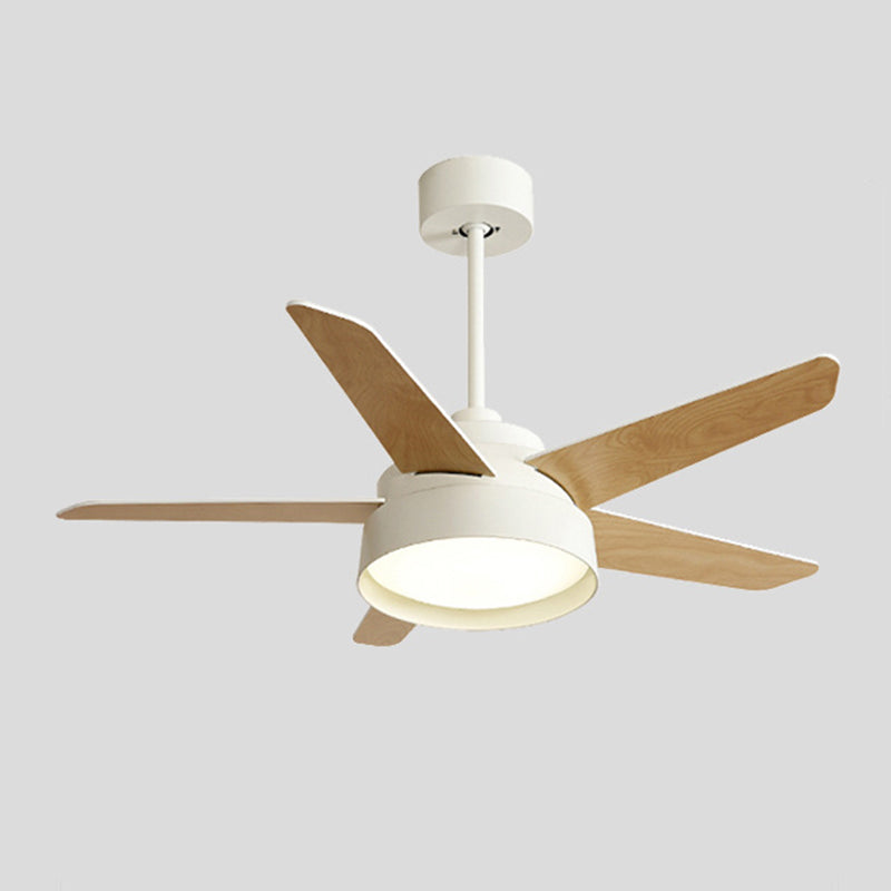 Modern Single Polished Ceiling Fan Lamp LED Shaded Ceiling Fan Light for Dining Room