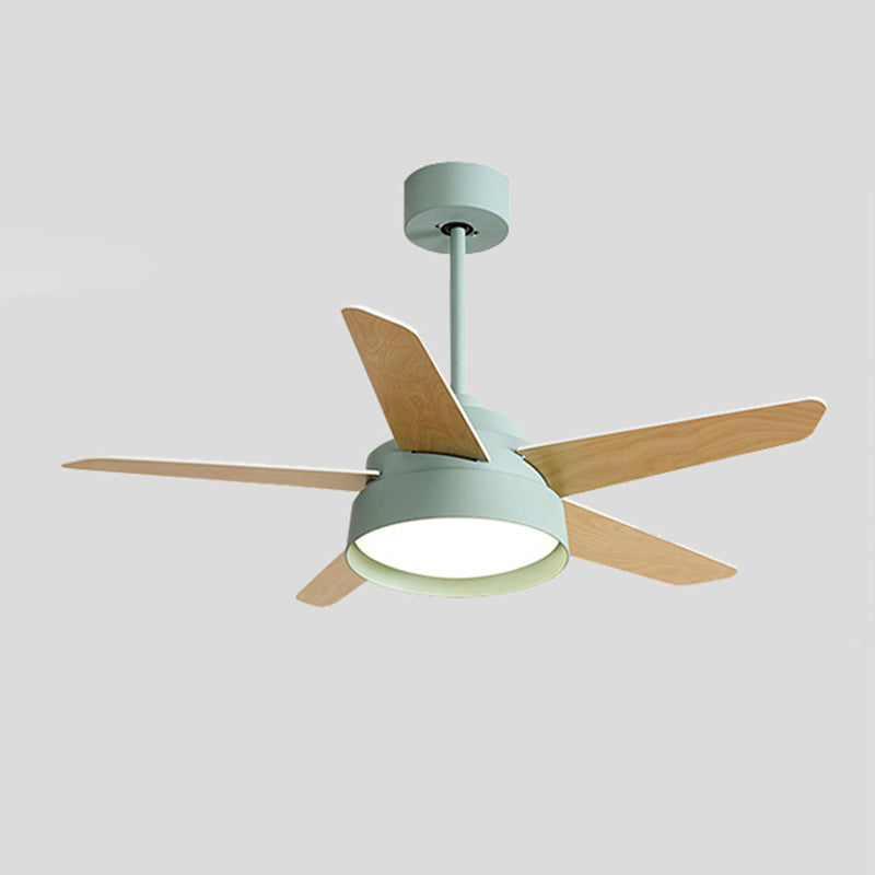 Modern Single Polished Ceiling Fan Lamp LED Shaded Ceiling Fan Light for Dining Room