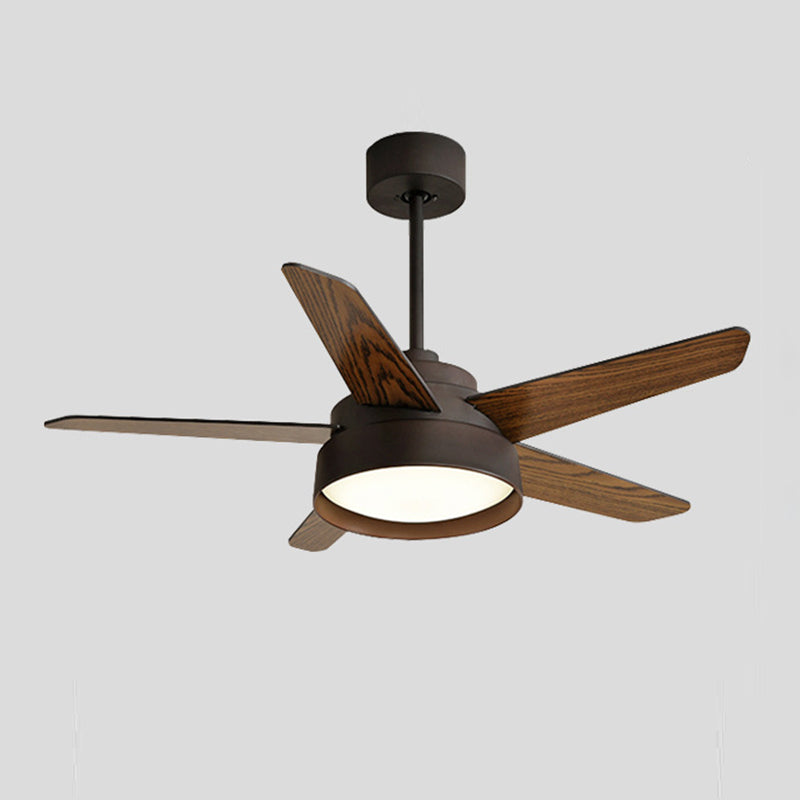 Modern Single Polished Ceiling Fan Lamp LED Shaded Ceiling Fan Light for Dining Room