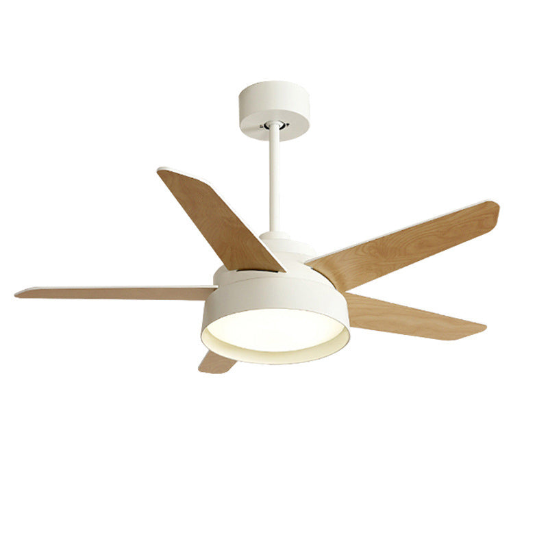 Modern Single Polished Ceiling Fan Lamp LED Shaded Ceiling Fan Light for Dining Room