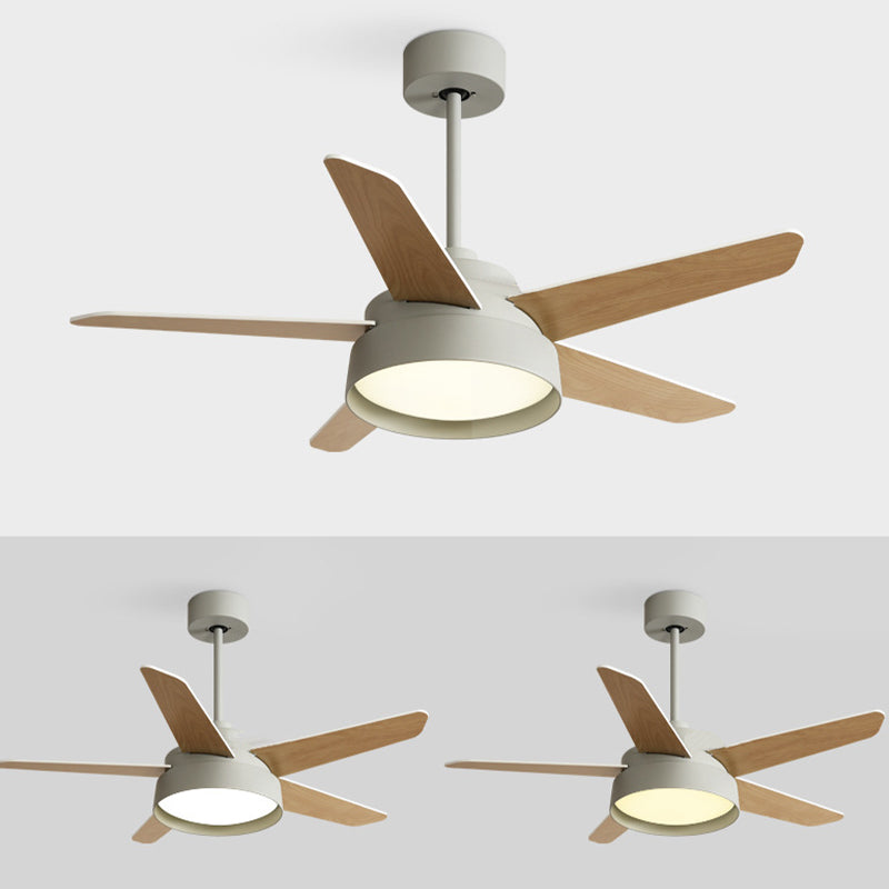 Modern Single Polished Ceiling Fan Lamp LED Shaded Ceiling Fan Light for Dining Room