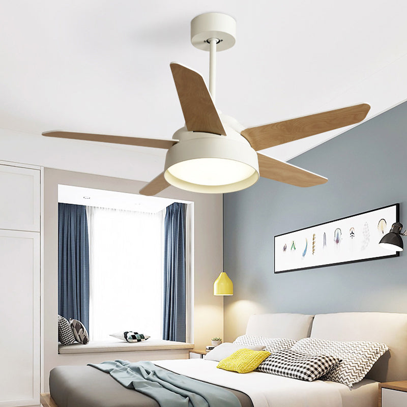 Modern Single Polished Ceiling Fan Lamp LED Shaded Ceiling Fan Light for Dining Room