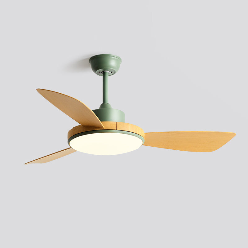 Modern Ceiling Fan Light Fixture Colorful LED Ceiling Lamp for Bedroom