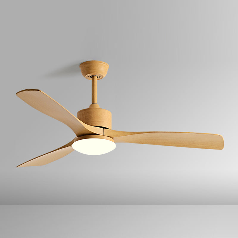 Metal and Plastic LED Ceiling Fan Modern Simple 3 - Blades Fan Lighting