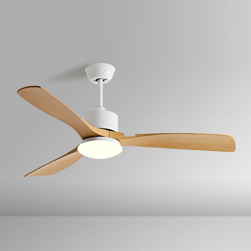 Metal and Plastic LED Ceiling Fan Modern Simple 3 - Blades Fan Lighting