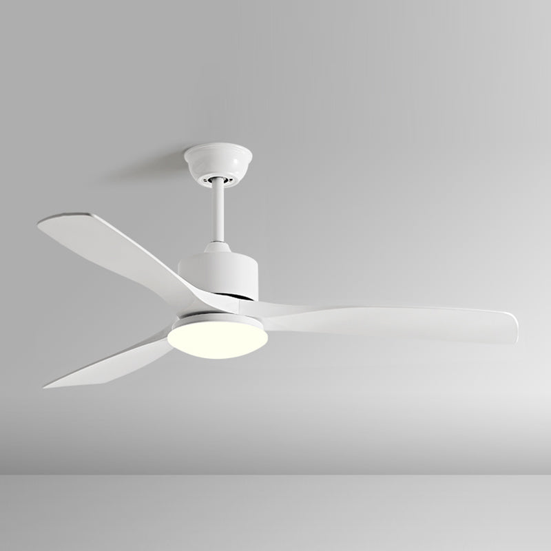 Metal and Plastic LED Ceiling Fan Modern Simple 3 - Blades Fan Lighting