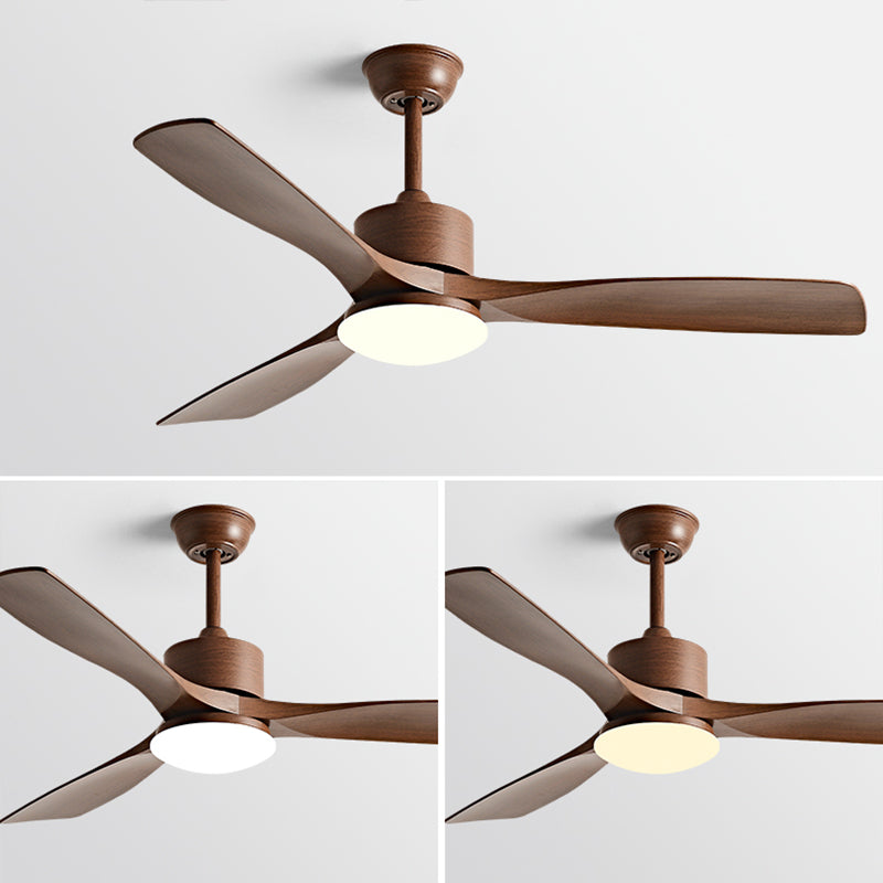 Metal and Plastic LED Ceiling Fan Modern Simple 3 - Blades Fan Lighting