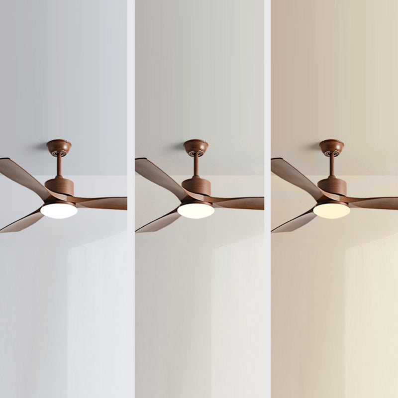 Metal and Plastic LED Ceiling Fan Modern Simple 3 - Blades Fan Lighting