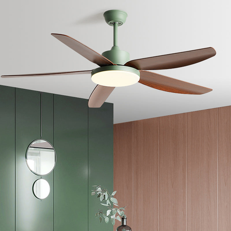 Nordic Ceiling Fan Light Fixture Colorful LED Ceiling Lamp for Bedroom