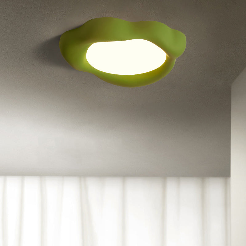 Unique LED Flush Mount Nordic Steel and Acrylic Ceiling Flush