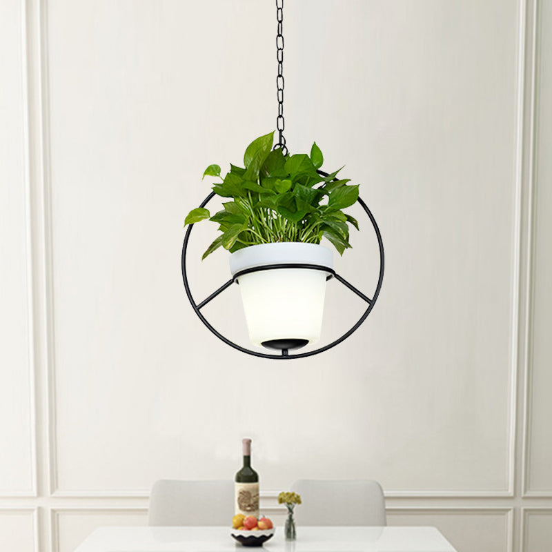 Metal Black Hanging Pendant Light Round/Flower Frame 1 Bulb Farmhouse Ceiling Lamp with Bucket Planter