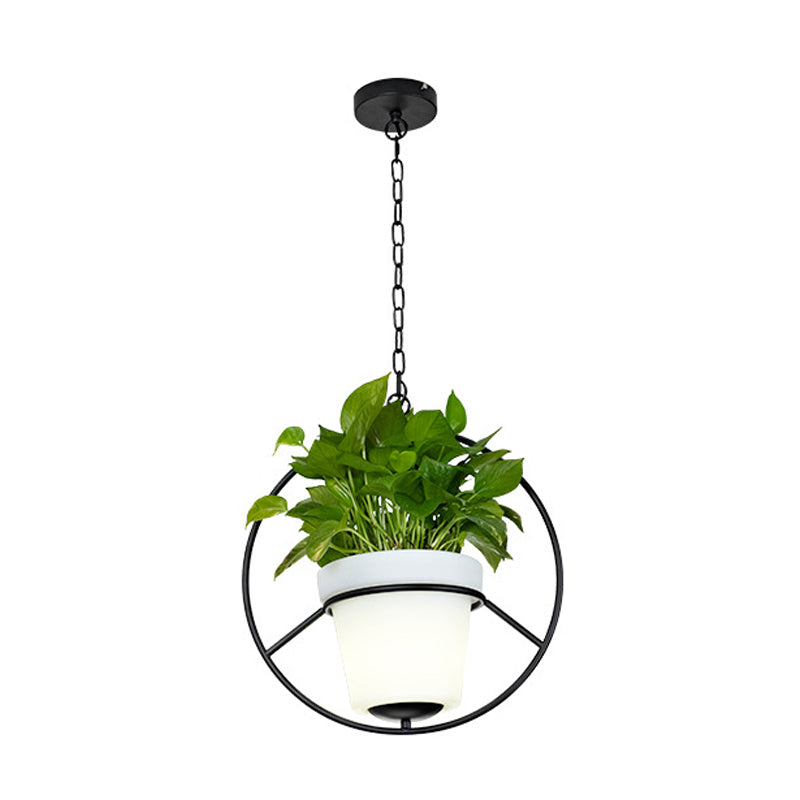 Metal Black Hanging Pendant Light Round/Flower Frame 1 Bulb Farmhouse Ceiling Lamp with Bucket Planter