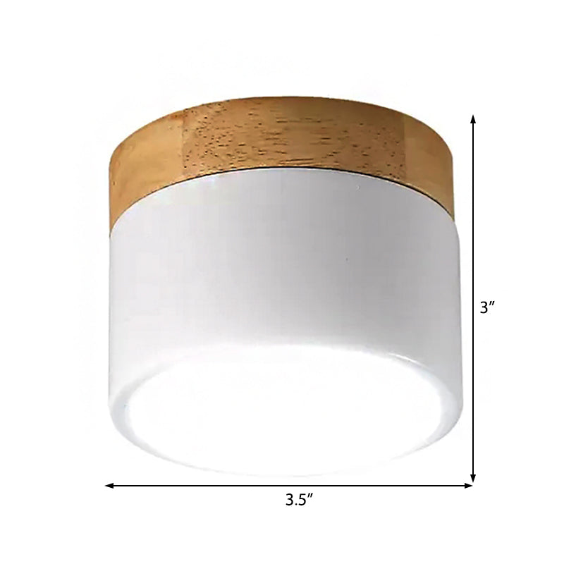 Simple Stylish Drum Ceiling Mount Light Acrylic LED Spot Light in White for Living Lift